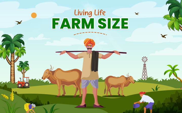 Living Life Farm Size