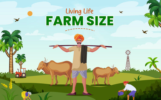 Living Life Farm Size